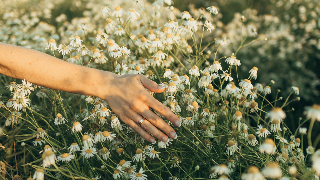 La Belleza en la lentitud: Descubre la filosofía "Slow Beauty" con XIXANTHÉ